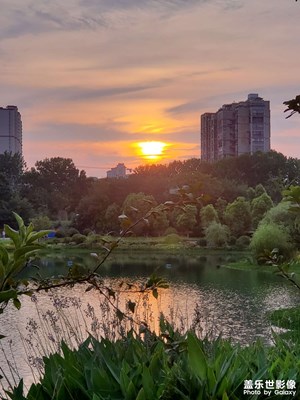 夕陽西下幾時回