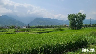 近日隨手拍