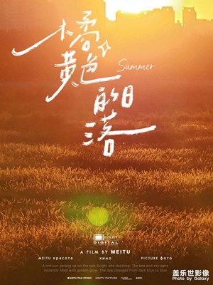 秋天的夕陽，試圖驅(qū)散初冬的寒流