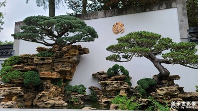 【場(chǎng)景小拍】盆景園