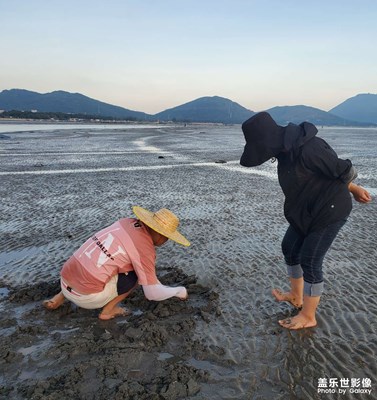 大海