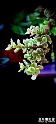 寧靜以致遠(yuǎn)