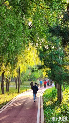《公園晨曲》