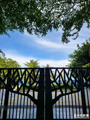 期待解除靜態(tài)