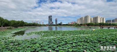 小城公園遠(yuǎn)景