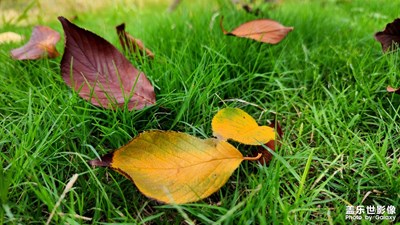 帶著S22U轉(zhuǎn)一圈