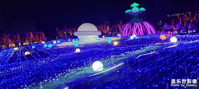 中秋拍的看下好看嗎？