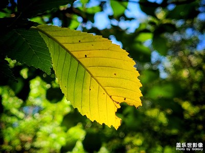 【美在身邊】+秋天的小美好