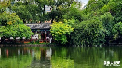 【秋日麗影】+ 翠湖煙雨