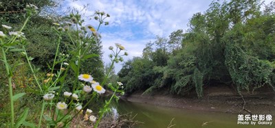隨手拍之（美麗自然鄉(xiāng)村）