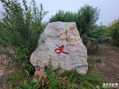 【我的小長(zhǎng)假】+公園游記