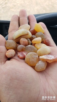 好久沒撿石頭了