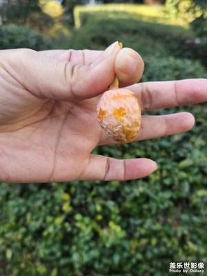 【我的小長假】休閑散步
