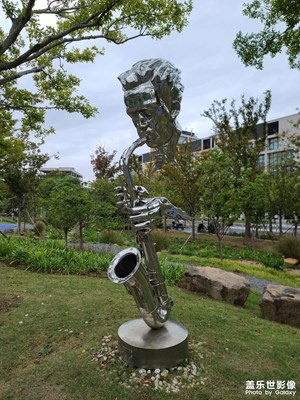 【我的小長(zhǎng)假】滴水湖畔雕塑公園