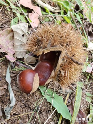 【我的小長假】+勞動也快樂