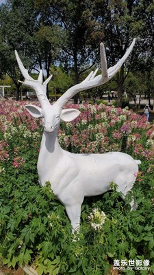 【我的小長(zhǎng)假】公園