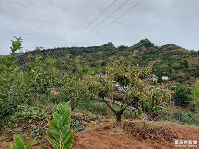 故鄉(xiāng)的山