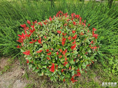 【深秋印象】+?四線小城隨拍