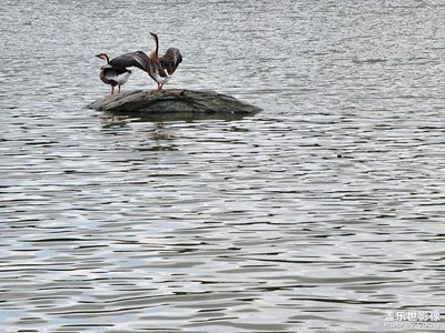 頭一回發(fā)照片，多支持一下