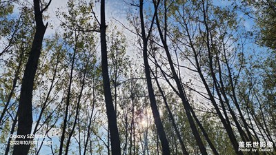 【深秋印象】小村隨拍