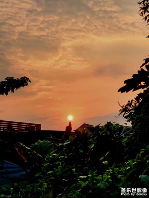 發(fā)點(diǎn)平時拍的照片