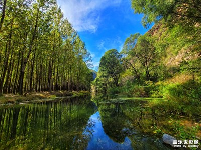 【深秋印象】秋山綠水