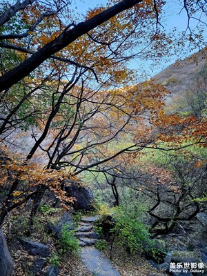 秋天太適合出去玩啦