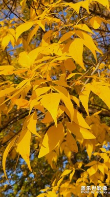 人間忽晚，山河已秋
