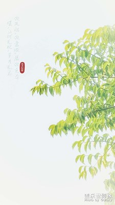 長(zhǎng)焦的魅力