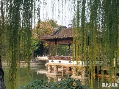 【好風(fēng)光】+包河公園的秋