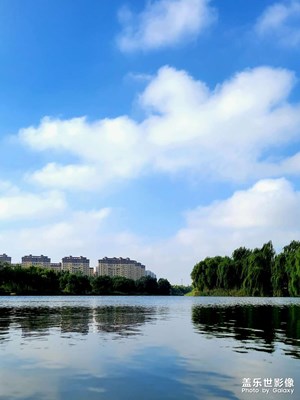 公園一角