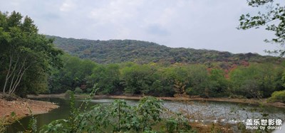 日常隨拍之《秋天的白鷺灣》