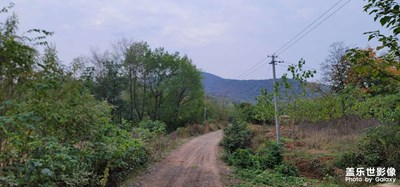 日常隨拍之《鄉(xiāng)村路》