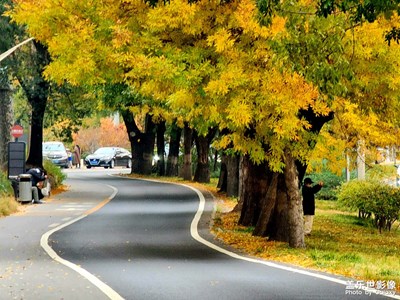 路過風(fēng)景
