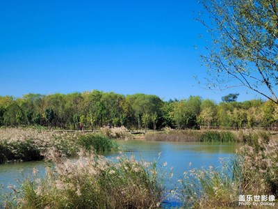 【好風光】+游園