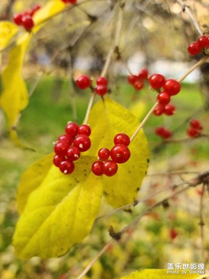 心態(tài)很重要