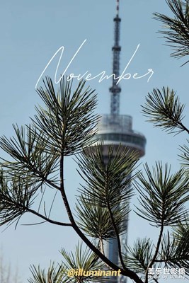 拍拍