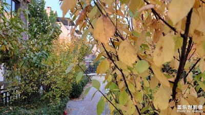 天津北辰區(qū)