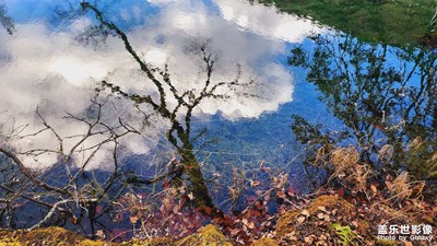 【秋去冬來(lái)】+ 九寨溝神仙池的秋