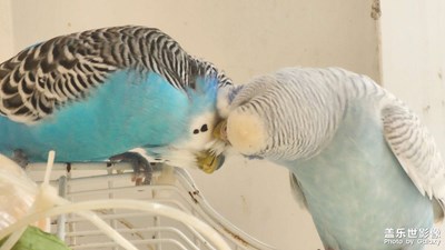 【秋去冬來】+?秋？