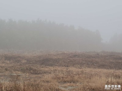 【秋去冬來】+霧霾