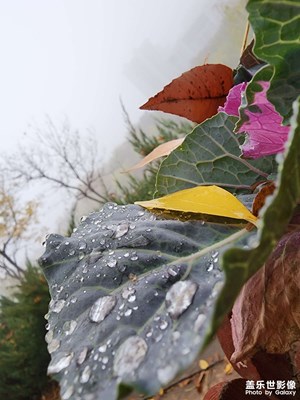 三星s22u拍攝【雨后滏陽河】