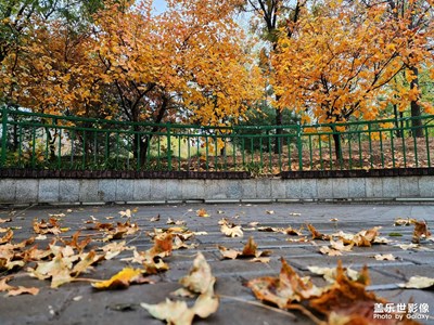 【秋去冬來】+秋雨綿綿