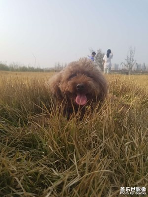 【秋去冬來】 游園