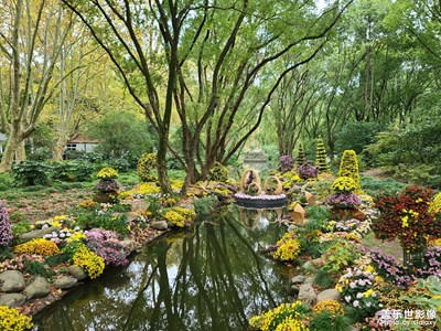 【秋去冬來】共青森林公園