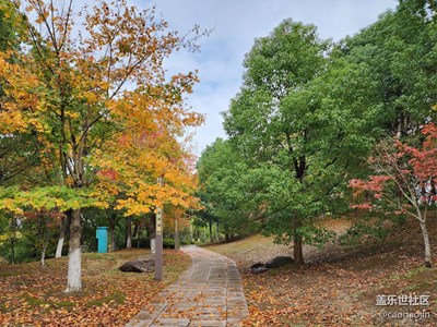 秋天的公園