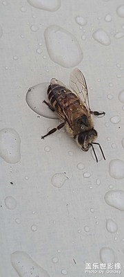 又是下雨天哦。。