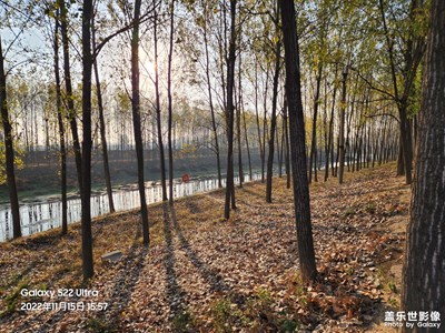 【初冬的景象】+小鎮(zhèn)初冬