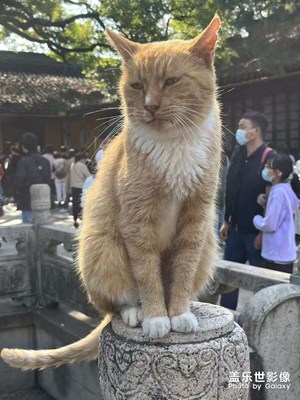西園寺