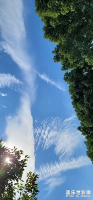 曬一張圖